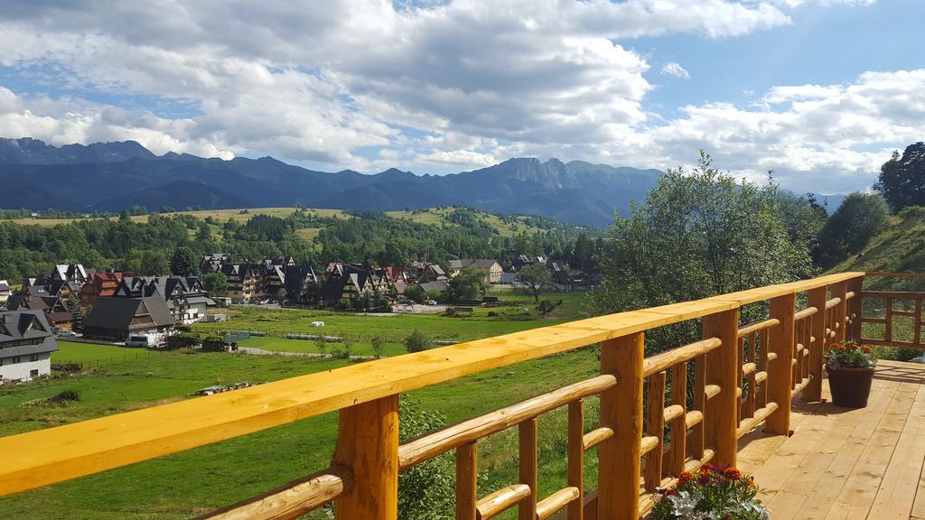 Willa Pod Zielonym Wierchem Zakopane Extérieur photo