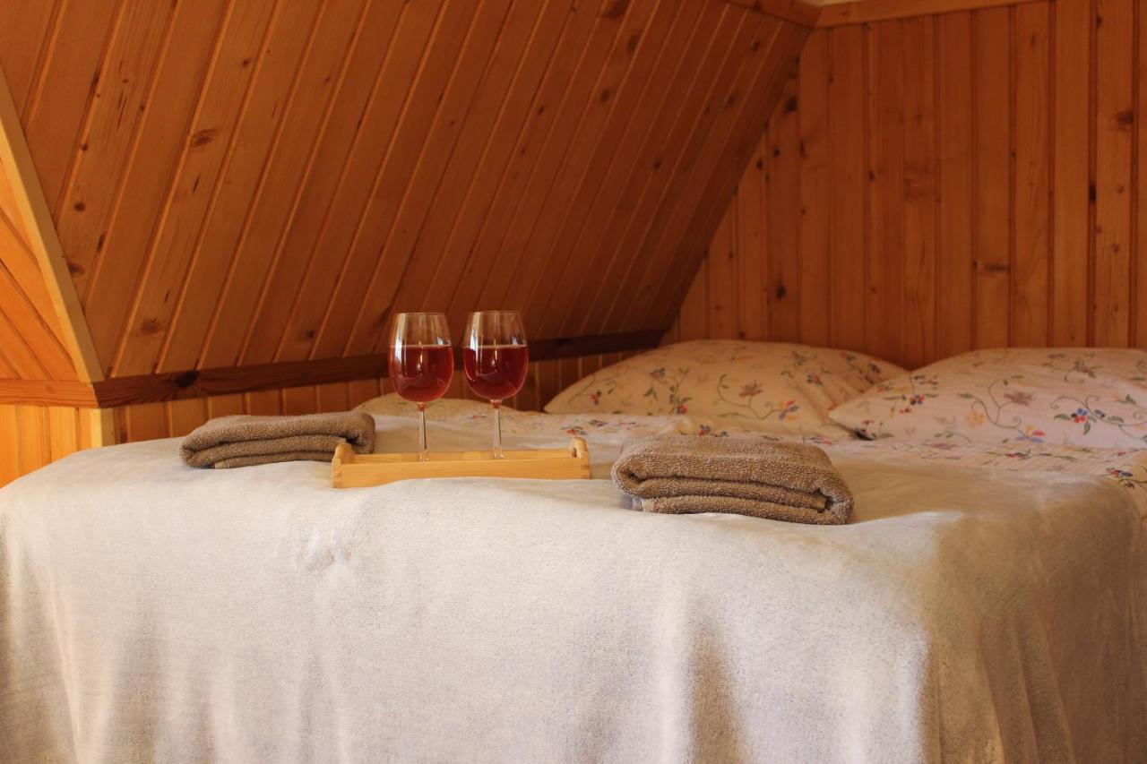 Willa Pod Zielonym Wierchem Zakopane Extérieur photo